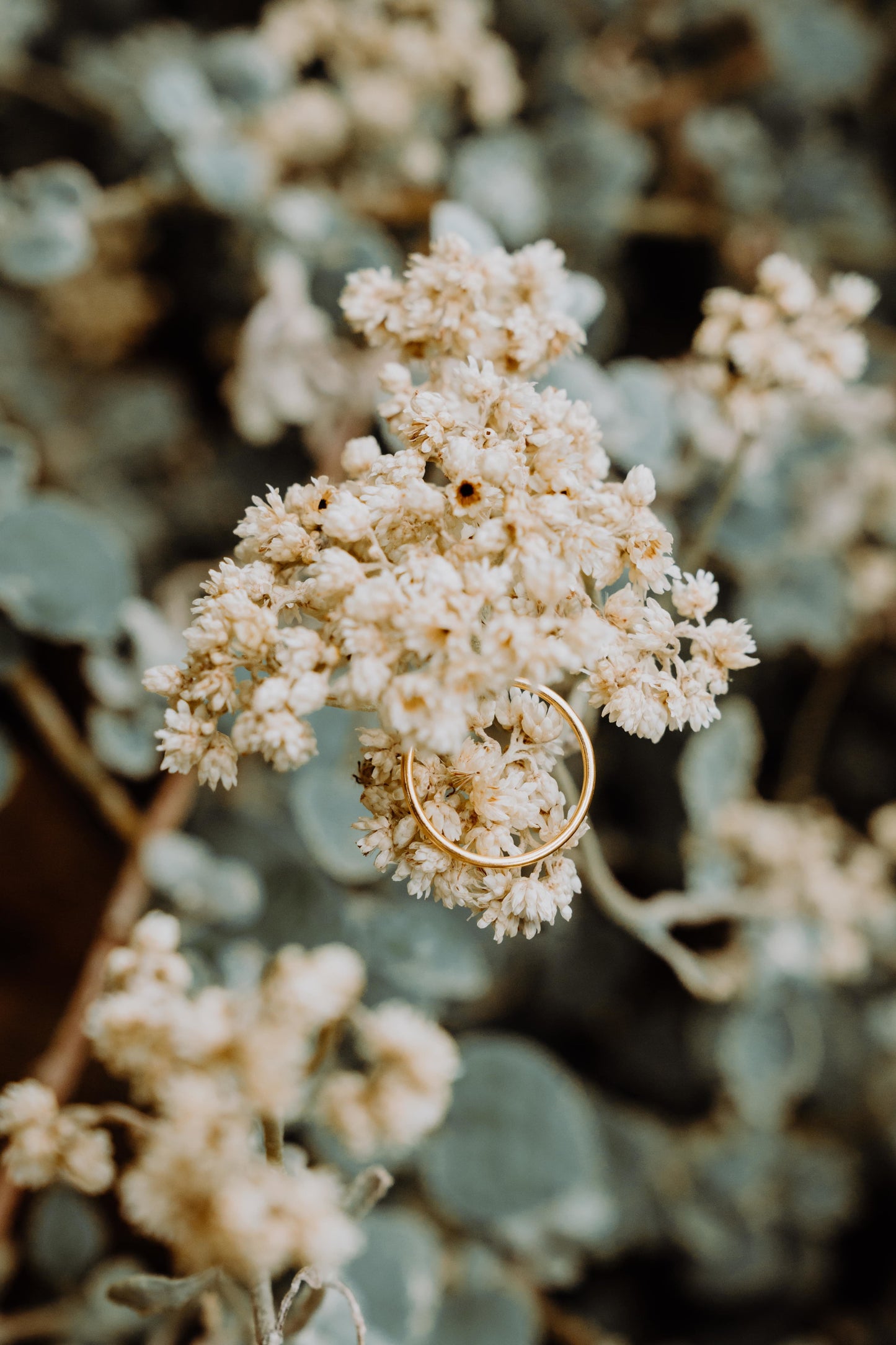 FRANKSI Ring | Your Everyday Elegance by Tulua Verde Fashion Brand