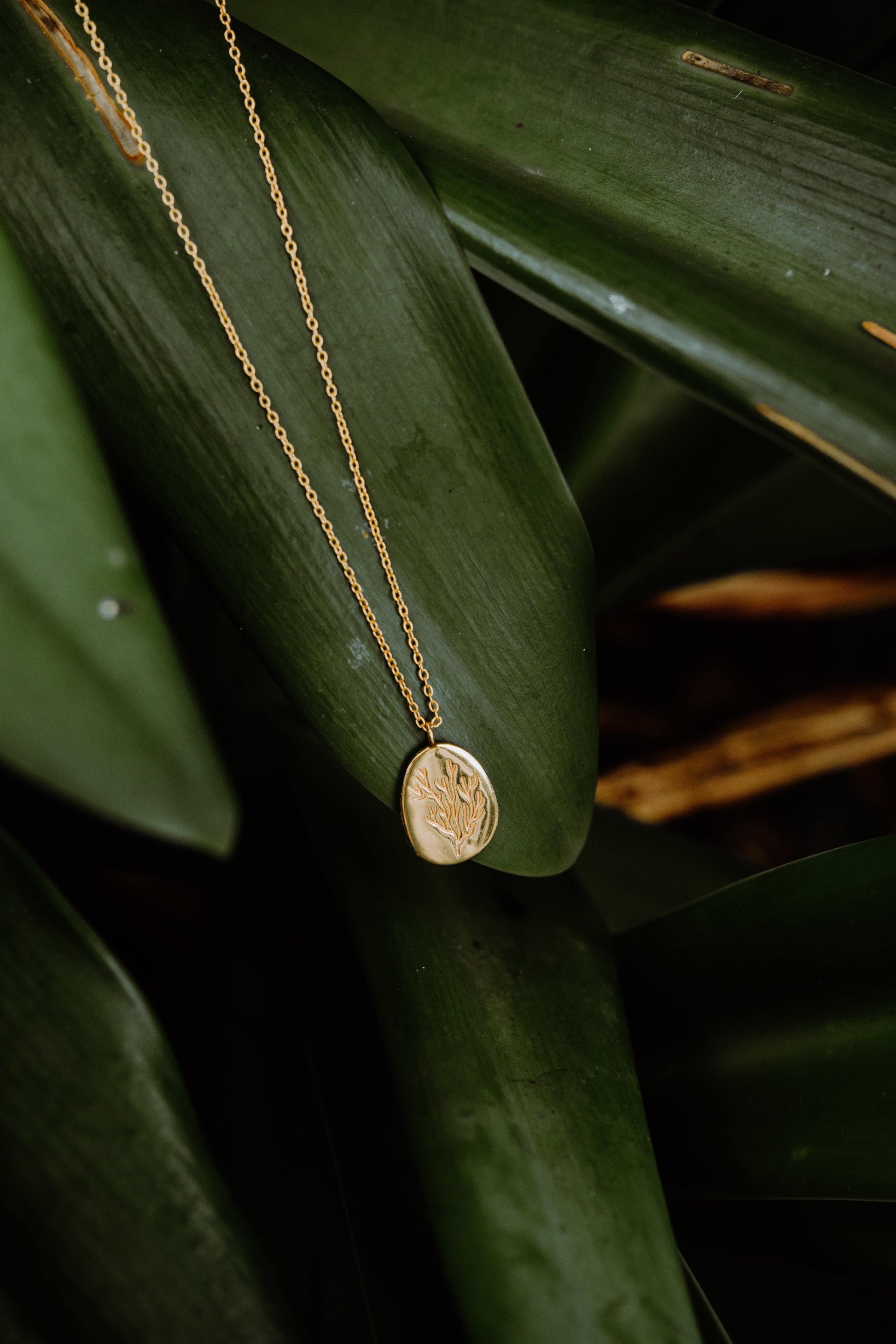 TENELLA Pendant Necklace | Tulua Verde